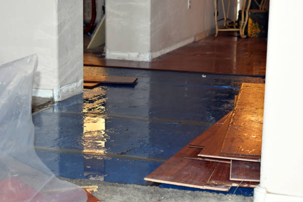 Professional Emergency Water Damage Restoration technician working in Olivehill, TN
